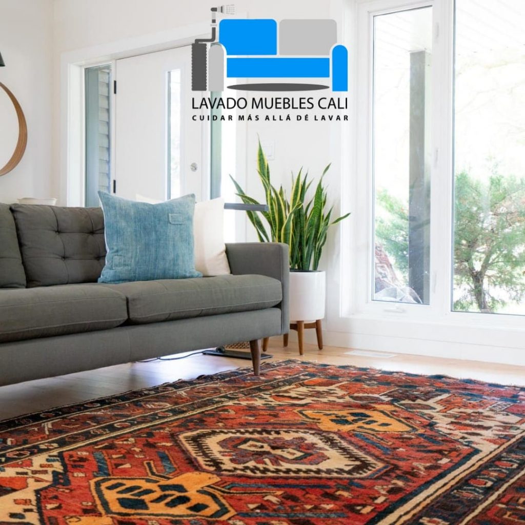 Lavado muebles - lavado muebles cali (8)