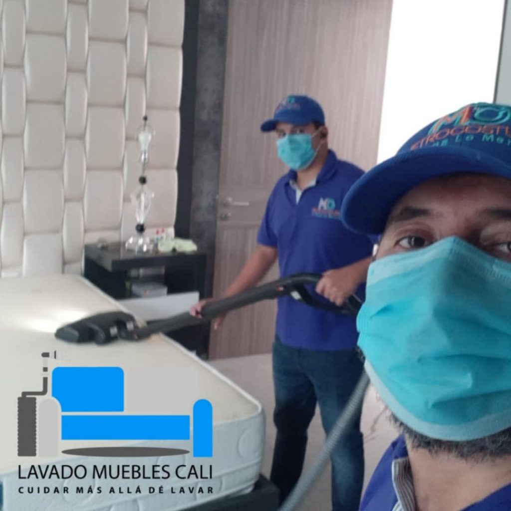 limpieza profesional y profunda en seco de colchones - lavado muebles cali