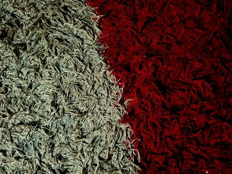 Alfombra de pelo alto para lavado profesional en Cali